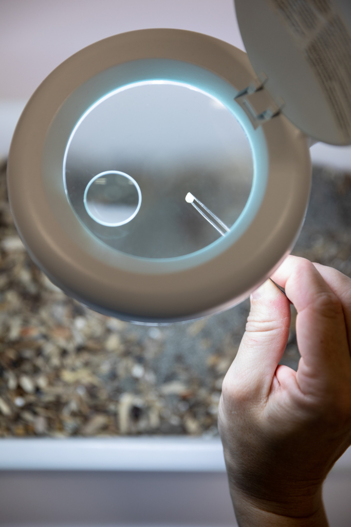 Reportage für das Terra Mater Magazin zum Thema Mikroplastik: Im Laboratoire d’Océanographie Microbienne in Banyuls-sur-Mer wird an plastikfressenden Mikroorganismen im Meer geforscht.