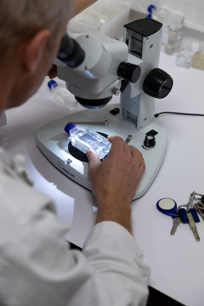 Reportage für das Terra Mater Magazin zum Thema Mikroplastik: Im Laboratoire d’Océanographie Microbienne in Banyuls-sur-Mer wird an plastikfressenden Mikroorganismen im Meer geforscht.