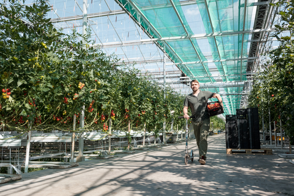 REWE Regional Testimonial Kampagne. Regionale Lieferanten und Landwirte mit ihren Produkten vor Ort, wo die Produkte herkommen