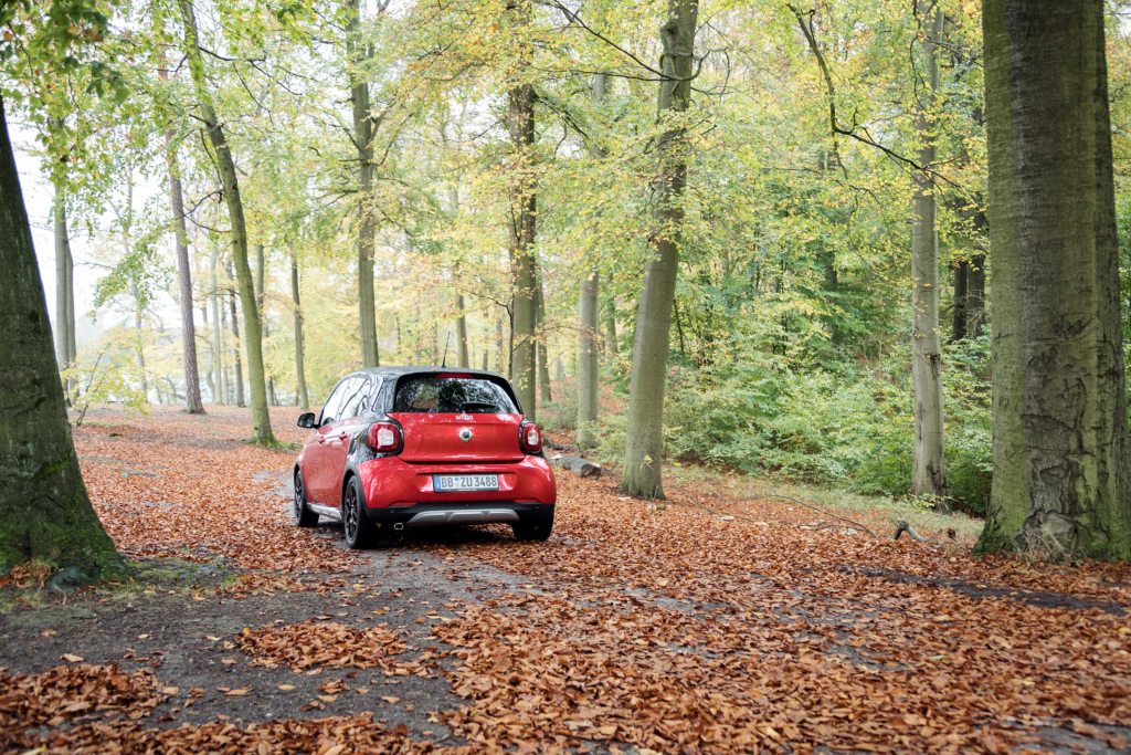 Smart Microadventure, Herbstausflug ins Berliner Umland mit den Travel Bloggern von Out Of Office und einem Smart Crosstown