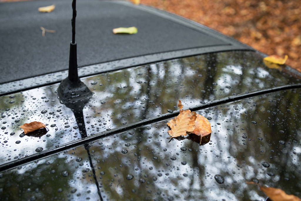 Smart Microadventure, Herbstausflug ins Berliner Umland mit den Travel Bloggern von Out Of Office und einem Smart Crosstown