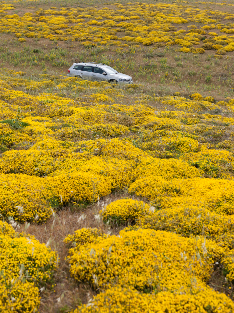 VW Passat Alltrack an der Algarve