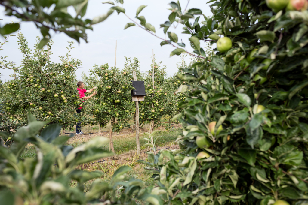 REWE Regional Testimonial Kampagne. Regionale Lieferanten und Landwirte mit ihren Produkten vor Ort, wo die Produkte herkommen