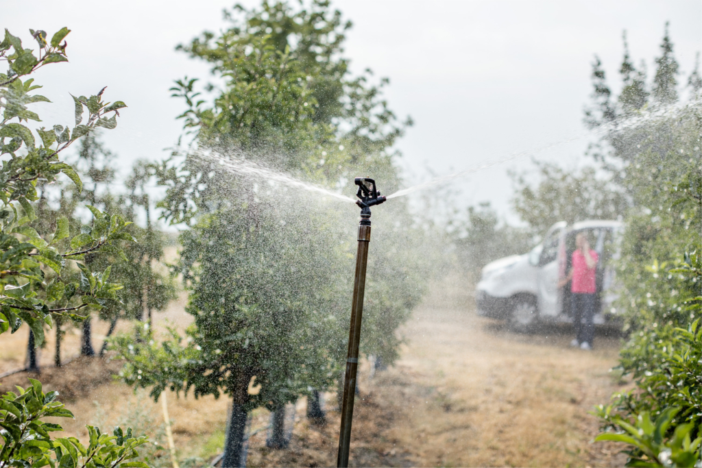 REWE Regional Testimonial Kampagne. Regionale Lieferanten und Landwirte mit ihren Produkten vor Ort, wo die Produkte herkommen