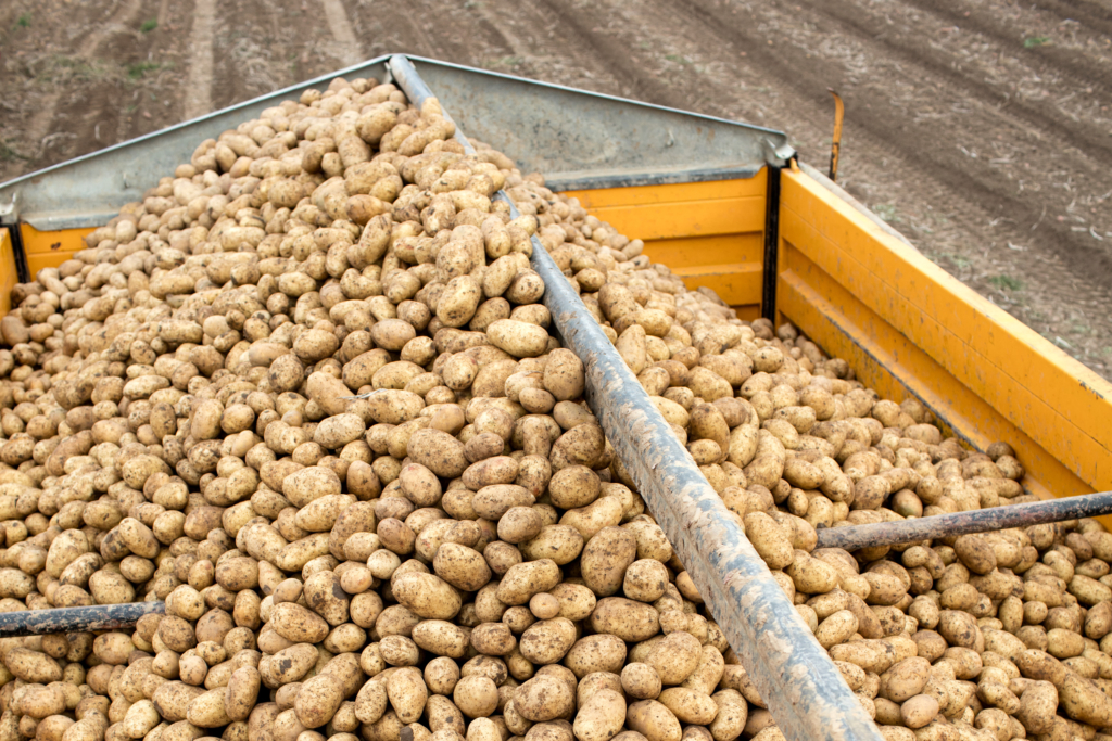 REWE Regional Testimonial Kampagne. Regionale Lieferanten und Landwirte mit ihren Produkten vor Ort, wo die Produkte herkommen