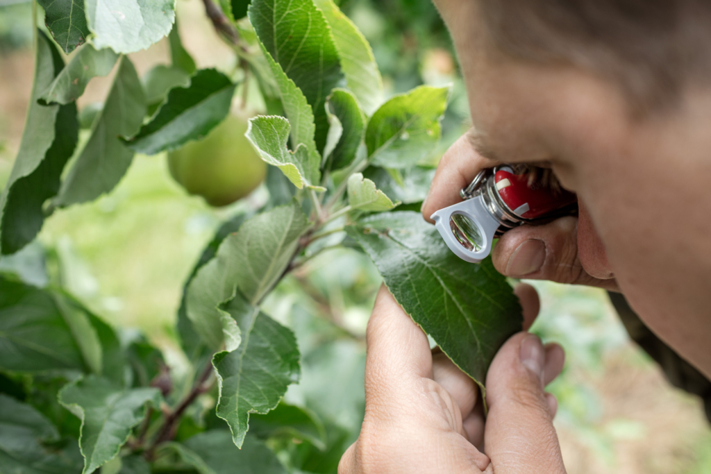 REWE Regional Testimonial Kampagne. Regionale Lieferanten und Landwirte mit ihren Produkten vor Ort, wo die Produkte herkommen
