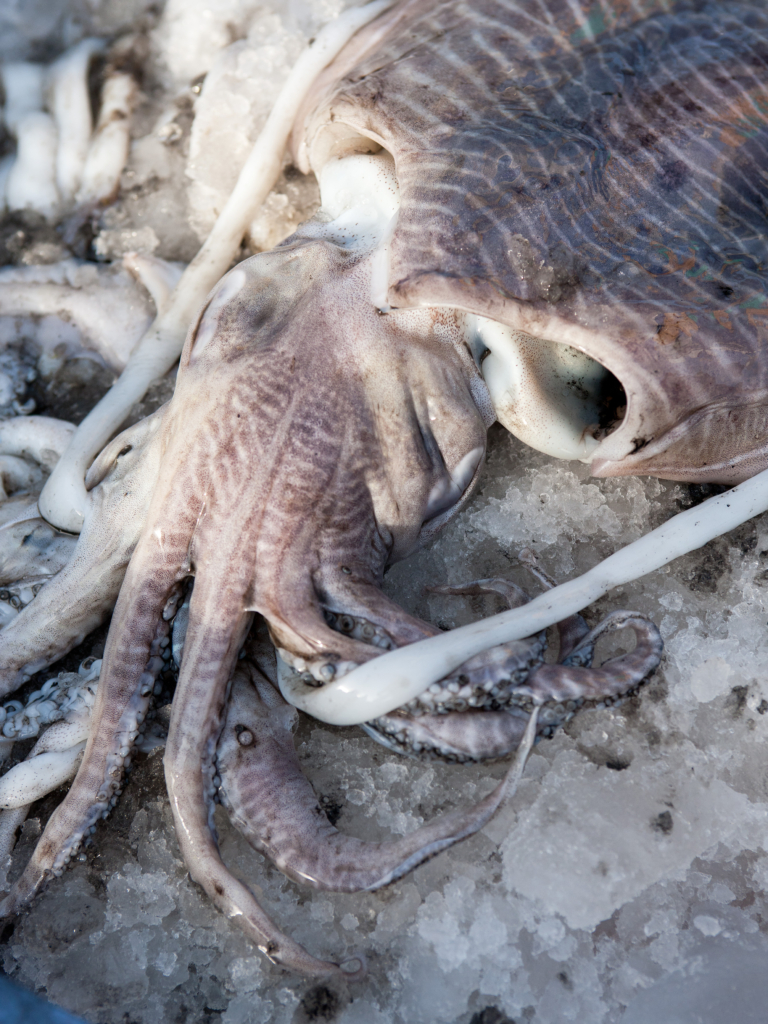 Food in Dubai. A story about restaurant kitchens, food markets and local producers, for BEEF Magazine