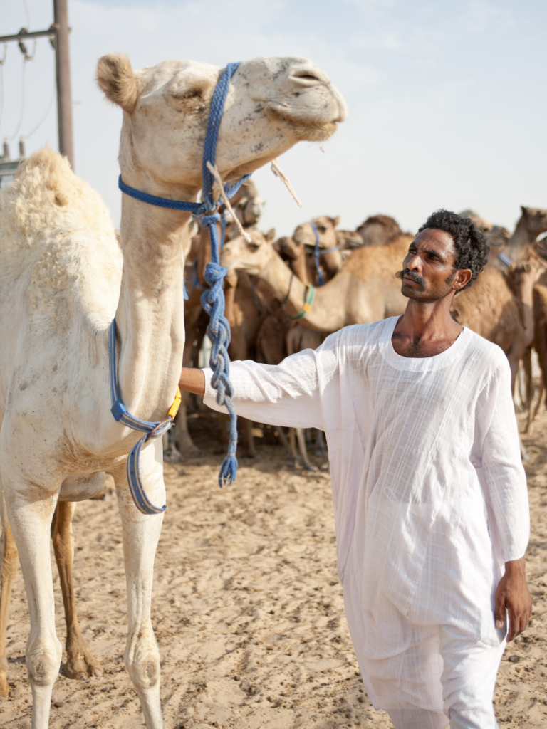 Food in Dubai. A story about restaurant kitchens, food markets and local producers, for BEEF Magazine
