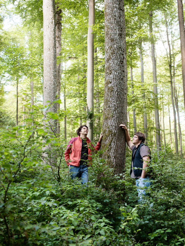 Holzski-Manufaktur auf der Schwäbischen Alb, eine Fotostrecke für das Mazda Magazin