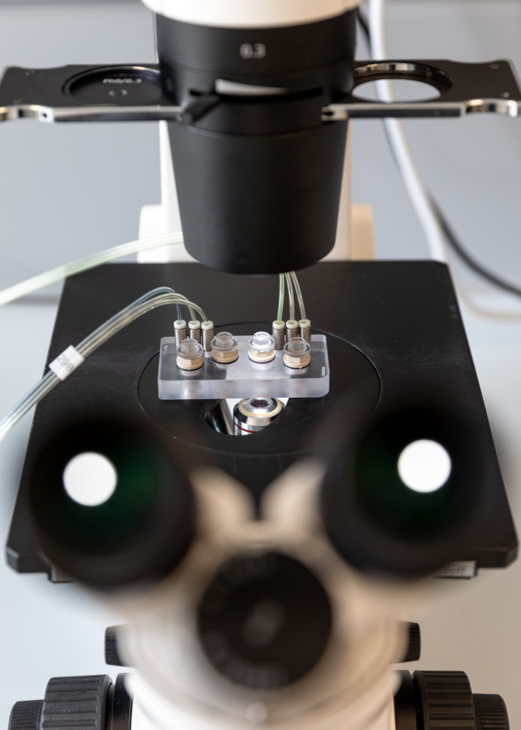 Fotostrecke für das Terra Mater Magazin über die Berliner Firma TissUse und ihr Projekt Human-on-a-Chip, eine Nachbildung des menschlichen Organsystems im Miniaturformat