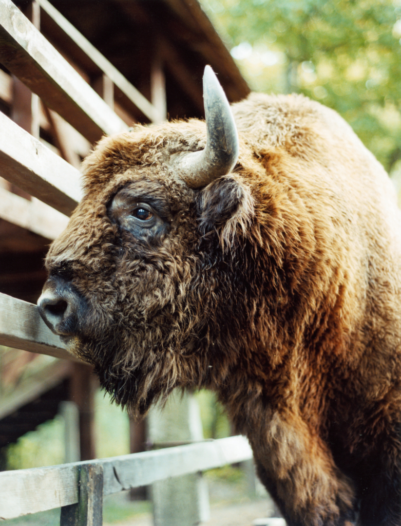 Herbst in den Masuren, eine Fotoreportage für das Brigitte Magazin