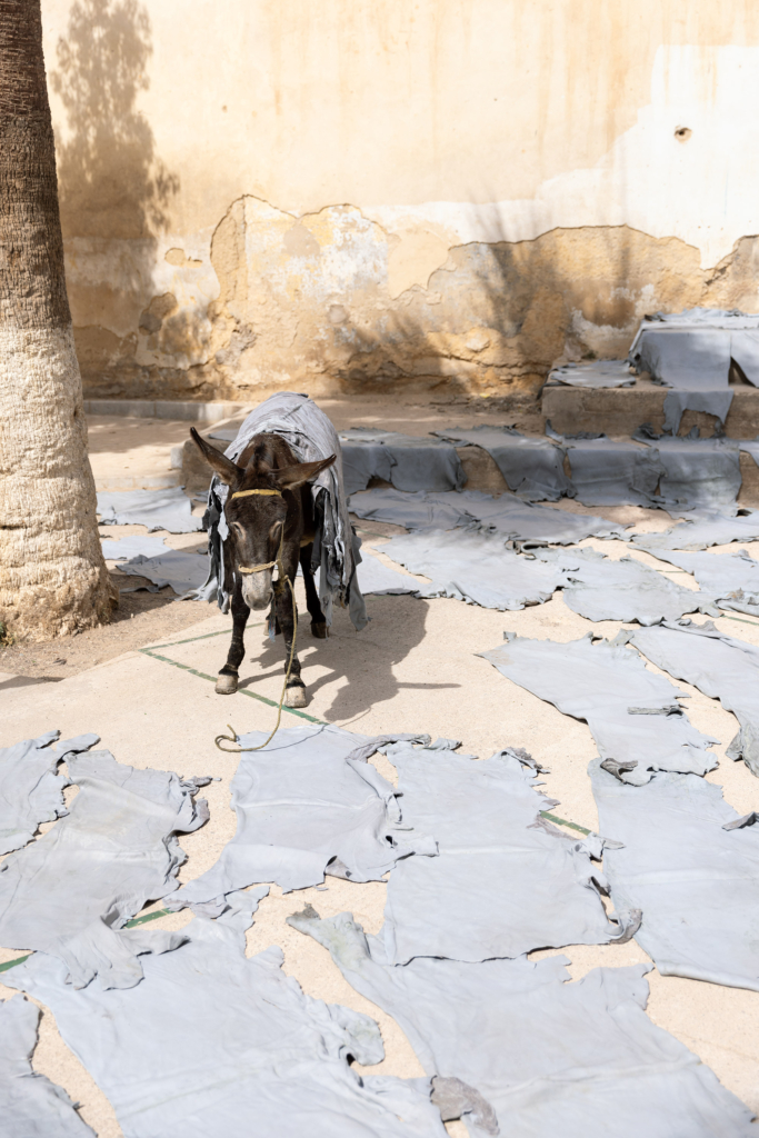 Fez, Morocco, has a long tradition of arts and crafts. I visited and photographed artisans from a variety of fields in their workshops.