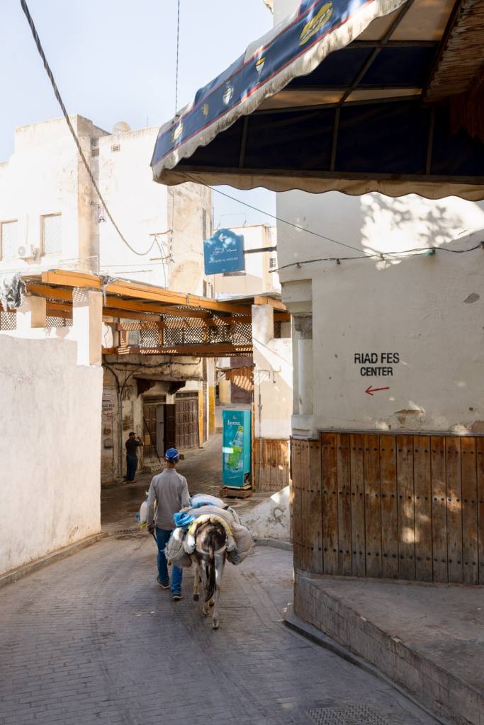 Fez, Morocco, has a long tradition of arts and crafts. I visited and photographed artisans from a variety of fields in their workshops.