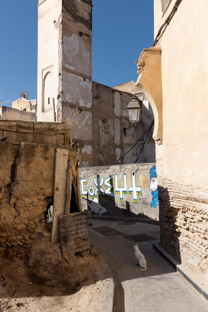 Fez, Morocco, has a long tradition of arts and crafts. I visited and photographed artisans from a variety of fields in their workshops.
